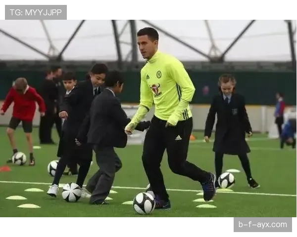 德国队欧洲杯表现抢眼，剑指冠军荣耀引全民期待