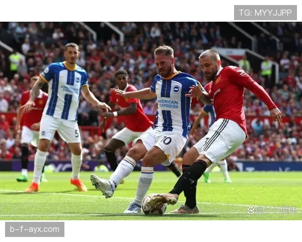 布莱顿联赛杯强势晋级，展现强劲竞争力