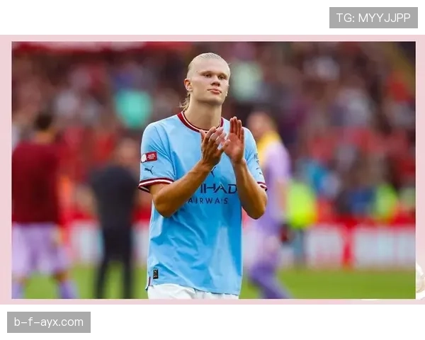 哈兰德社区盾杯