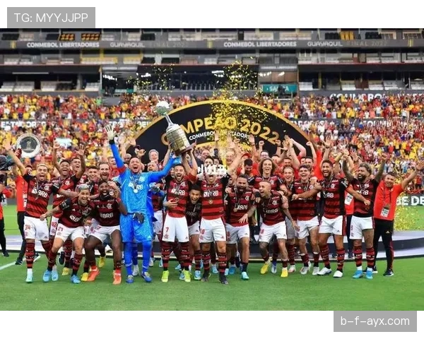 南美杯事件调查最新进展